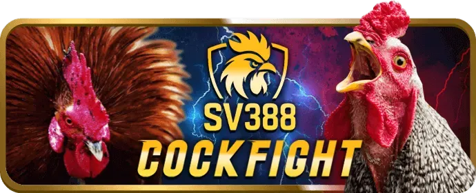 Câu chuyện thành công và trải nghiệm người chơi Xeng88 Win